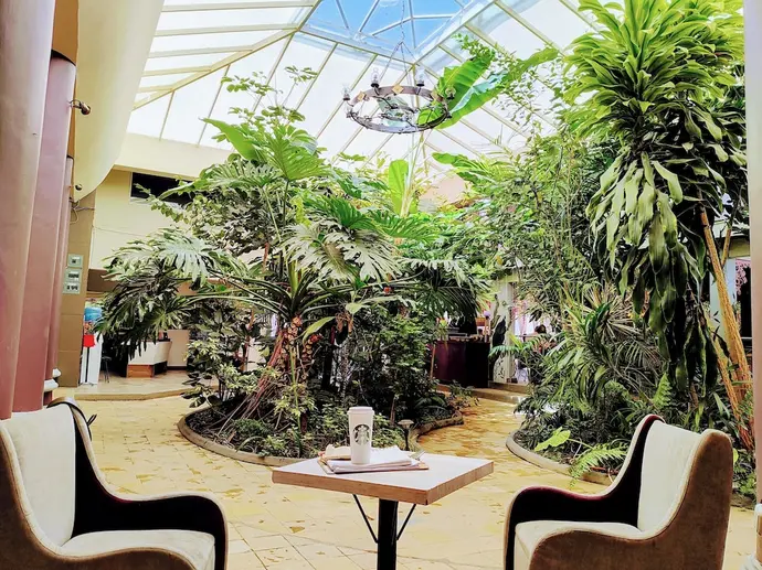 Hotel Jardines del Centro, Primary image