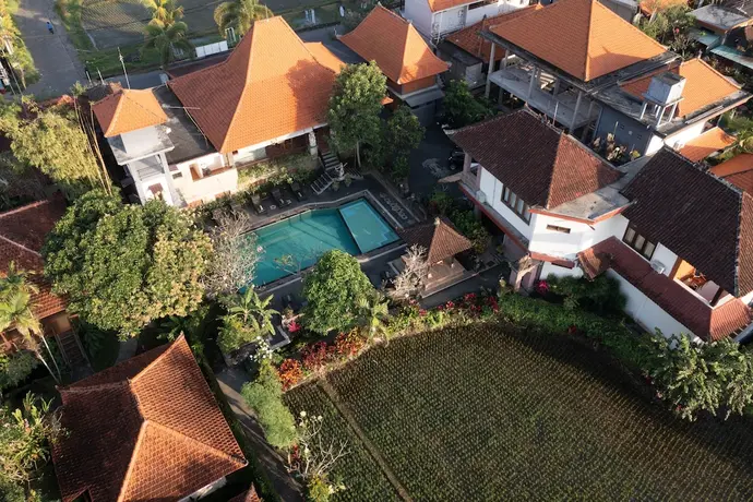 Nick's Pension, Primary image