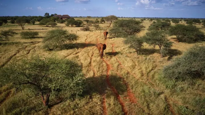 Voyager Beach Resort & Tsavo Safari
