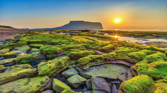 Circuit Individuel : Corée Urbaine et Intemporelle extension Jeju en 13 nuits