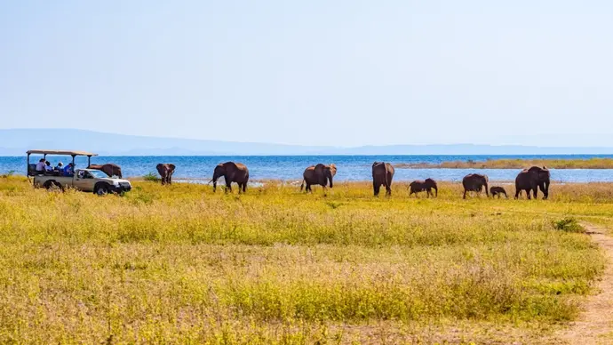 L'Afrique Australe à bord du Zimbabwean Dream : expérience inédite aux confins du monde