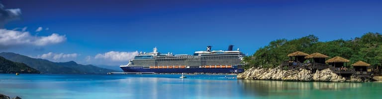 Celebrity Silhouette