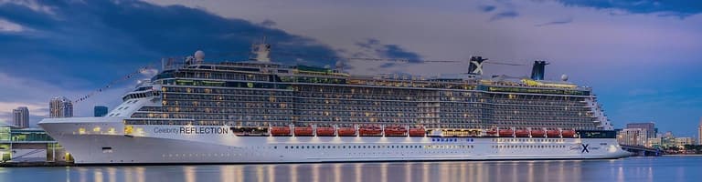 Celebrity Reflection