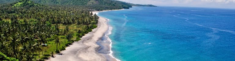 Mangsit, Индонезийски