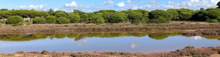 Quinta do Lago, Portugal