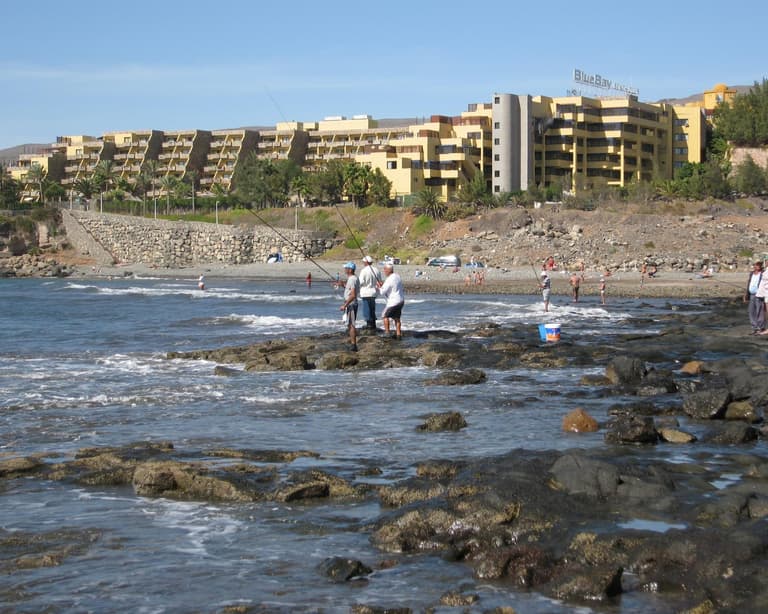 Tarajalillo, Испания