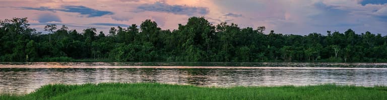 Papua Nueva Guinea, Papúa Nueva Guinea