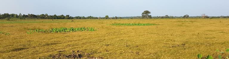 Kalpitiya, Sri Lanka