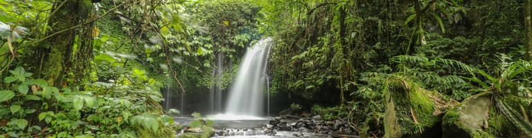 Penebel (Province), Indonezijščina