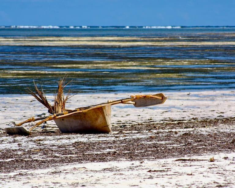 West Coast (Zanzibar), Tansania