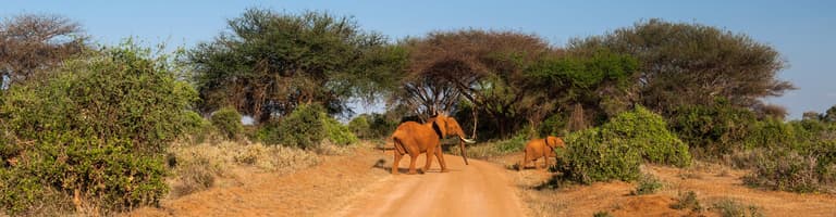 Narodni park Tsavo East, Kenija