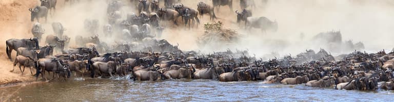 Maasai Mara, Quénia