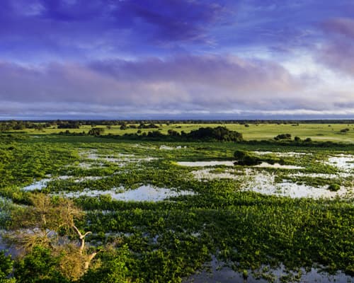 Campo Grande, Brazil