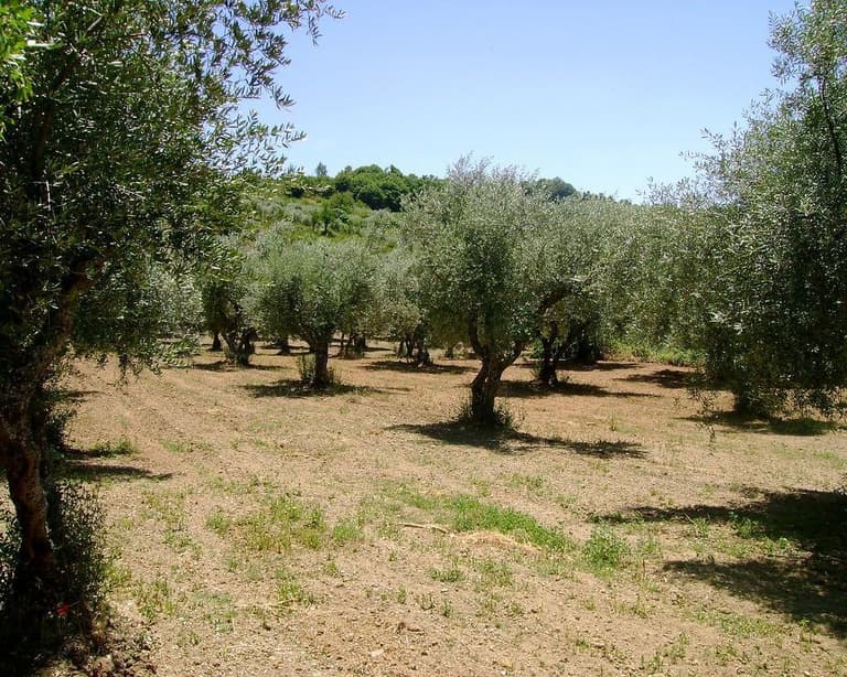 Macedo de Cavaleiros, Portugal