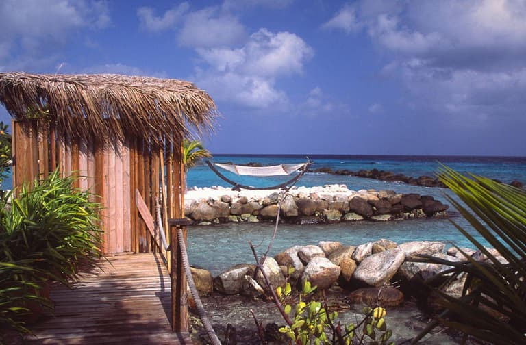 Image - Travel Without Limits