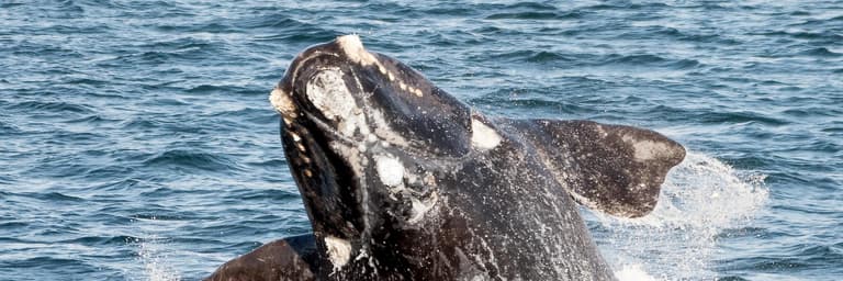 Imagen - ¿Querés viajar por Argentina? 