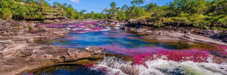 Image - Caño Cristales