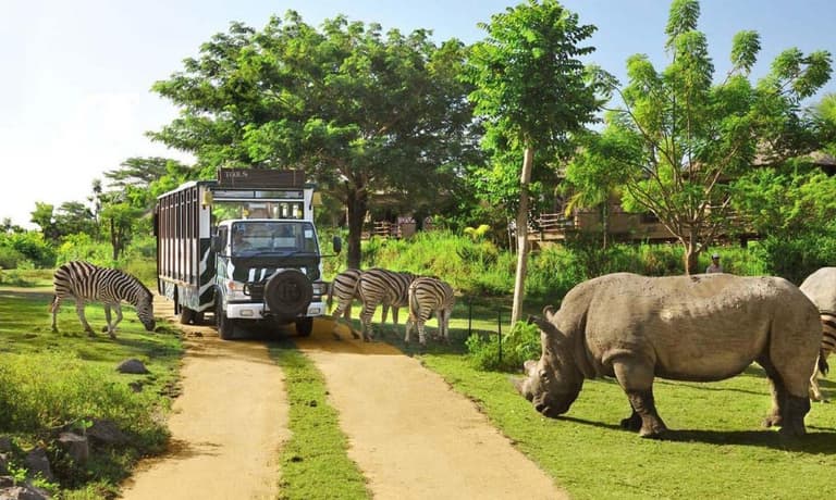 Image - Luxury Safari