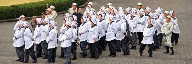 Rejseforespørgseler