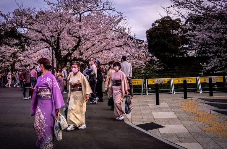 Imagen - El Festival de las Cerezas