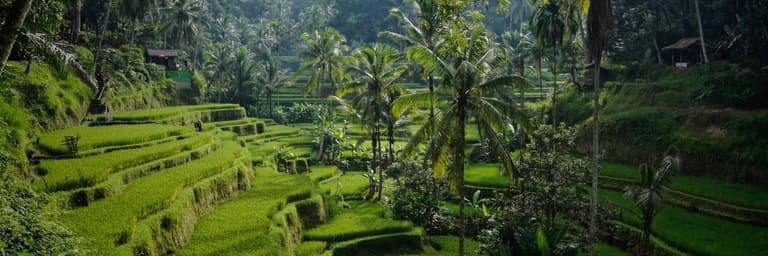 Bali I Indonesië