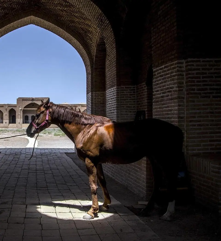 Image - Culture & History