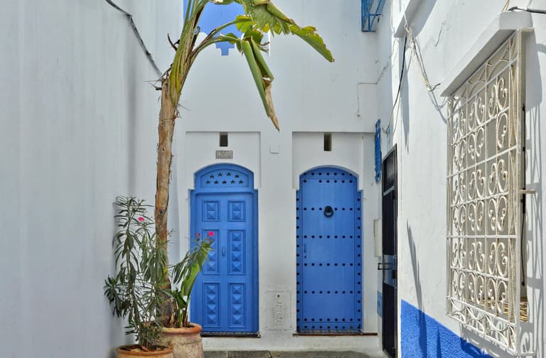 Bild - Unveil Tenerife