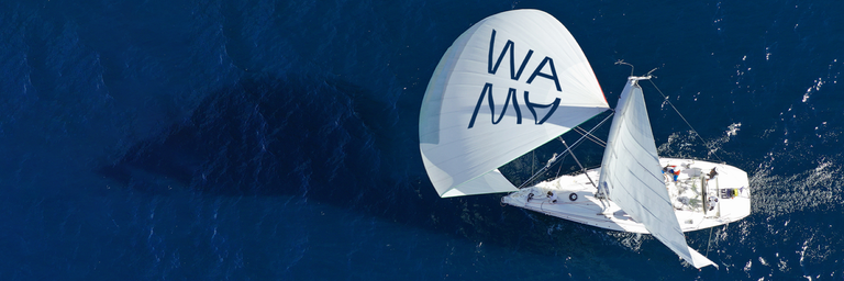 Image - Discover the hidden secrets of The Red Sea During Your STOPOVER