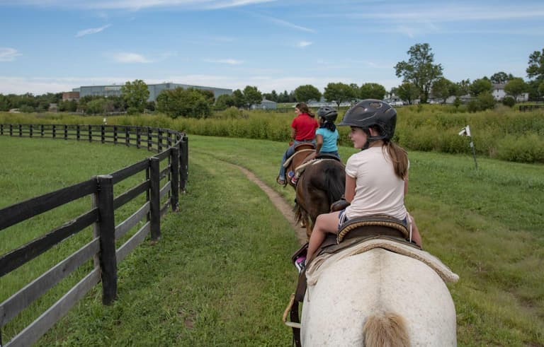 Image - Go Horseback Riding