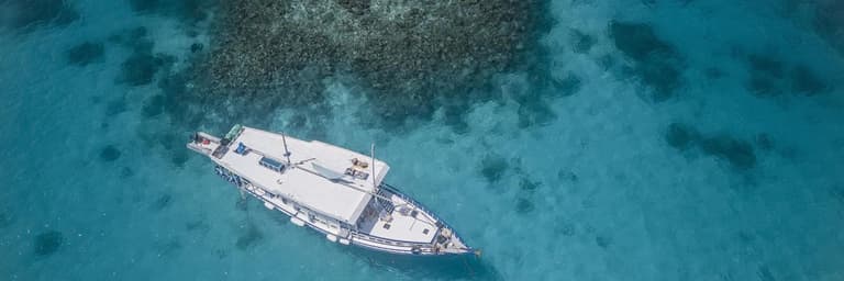 Rejseforespørgseler