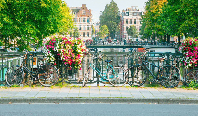 Imagen - Los mejores tours por Países Bajos