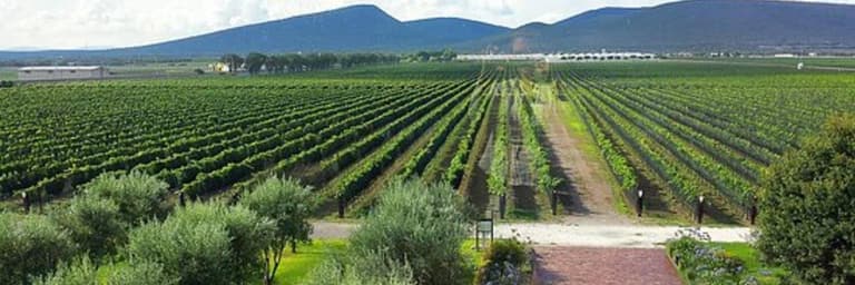 Imagen - Visita Querétaro