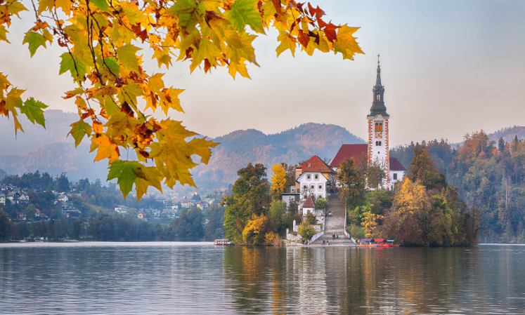 Image - Visa Free Tours