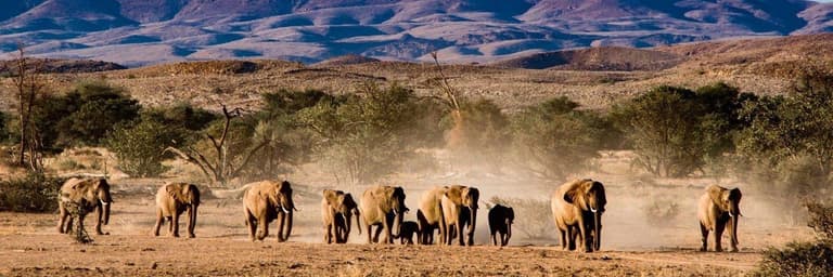 Beeld - Opzoek naar de grote beesten