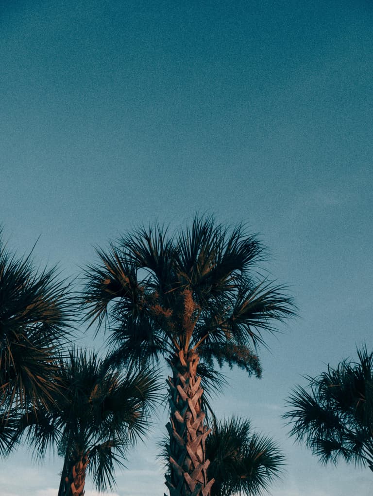 Beeld - Fly & Drive Florida Sandcastles and Family Fun - 13 dagen