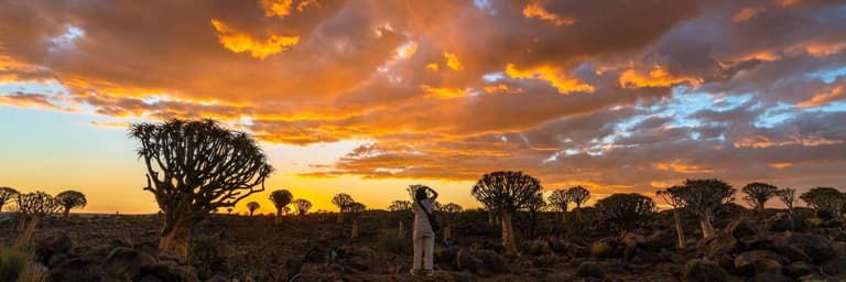 Image - Discover Africa