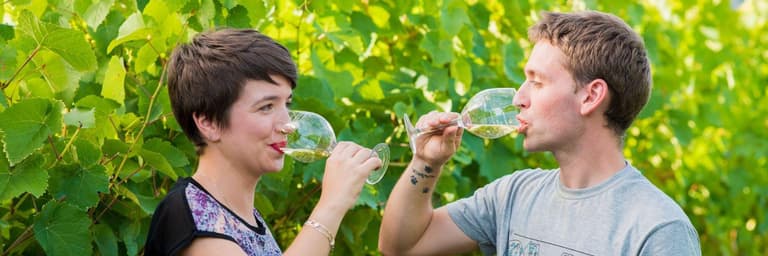 Tourisme viticole et gastronomie