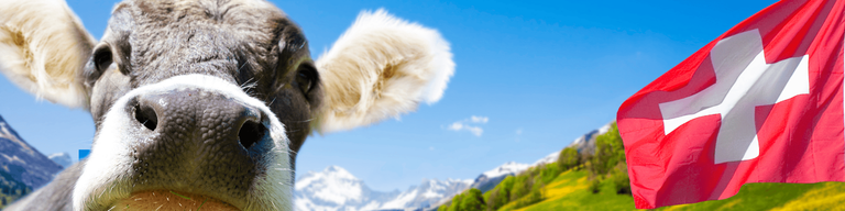 Suiza