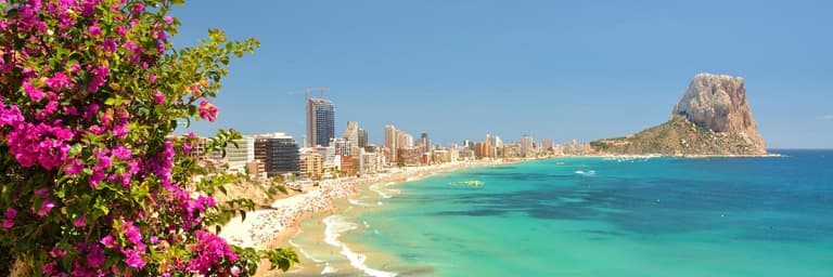 كالبي مع الحافلة