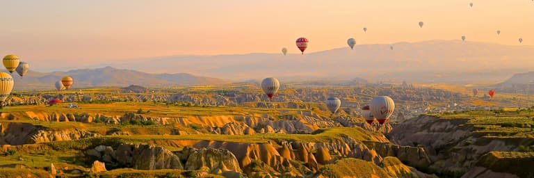 Εικόνα - Evergreen