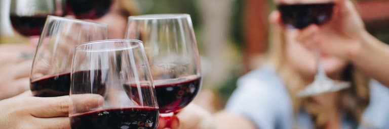 PASIÓN POR LOS VINOS