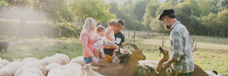 Imagen - Actividades