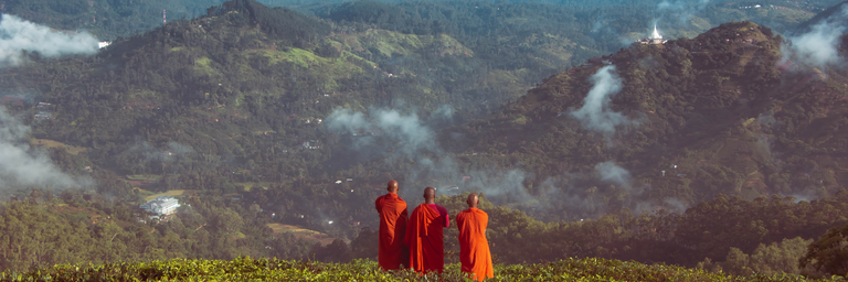 Beeld - de magie van tempels, thee-ceremonies en moderne metropolen