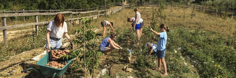 Local Living | Lev lokalt