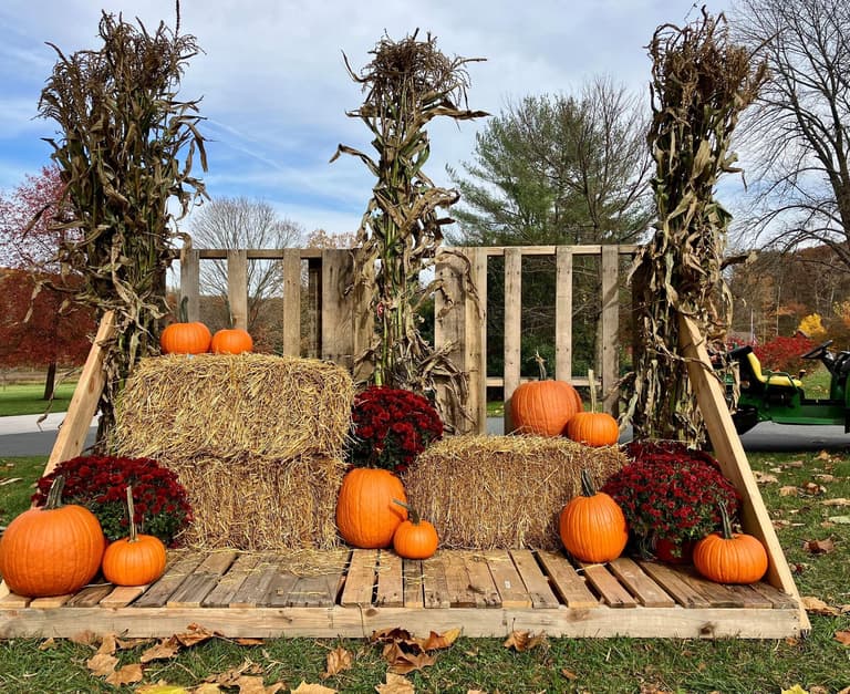 Image -  Attend a Fall Festival