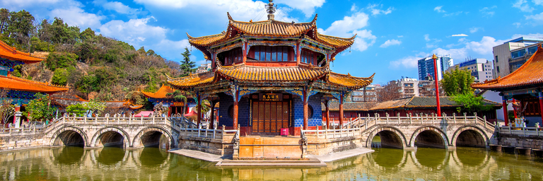 Imagen - Nuestros Magon Plus