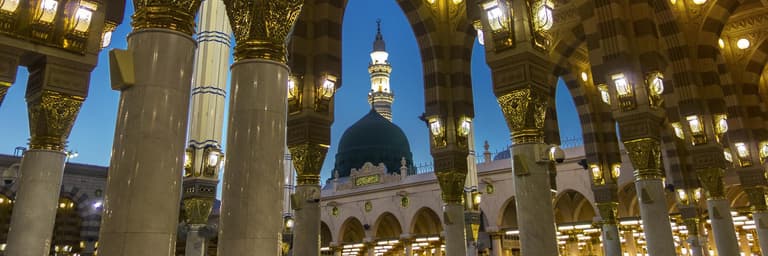 المدينة المنورة