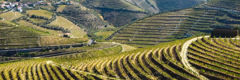 Imagen - Vinos en Portugal - Douro