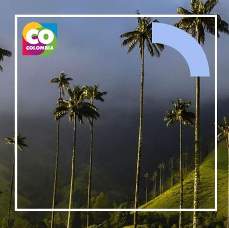 Imagen - Bogotà y zona Cafetera