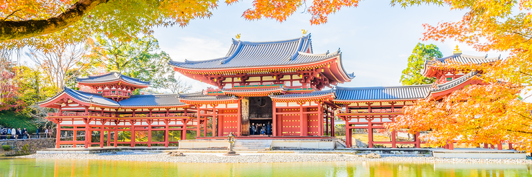 Imagen -  Japón tu nuevo destino soñado